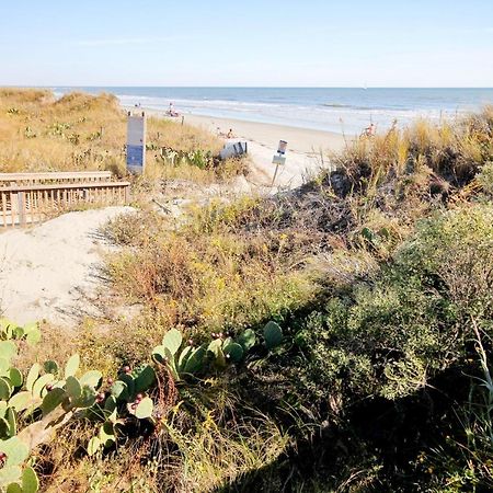 Cherry Grove Retreat & Sea Cabin 미를 비치 외부 사진